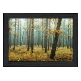 "Holterberg in the Mist" By Martin Podt, Printed Wall Art, Ready To Hang Framed Poster, Black Frame